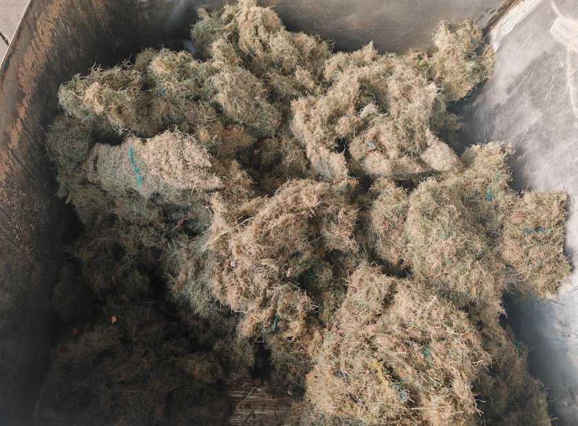 漁網廢渣螺旋壓榨脫水處理機器視頻